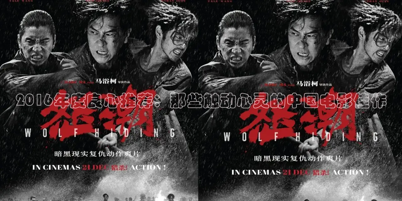 2016年度良心推荐：那些触动心灵的中国电影佳作